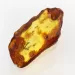 Insect inclusions in Baltic amber fossil large stone