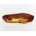 Insect inclusions in Baltic amber fossil large stone