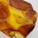 Insect inclusions in Baltic amber fossil large stone