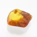 Insect inclusions in Baltic amber fossil large stone