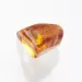 Insect inclusions in Baltic amber fossil large stone