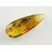 Fly Insect inclusions in Baltic amber fossil stone