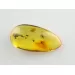 Fly Insect inclusions in Baltic amber fossil stone