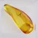 Trapped insect in Baltic amber with magnifying box