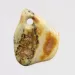 Baltic Amber Medallion pendant with hole