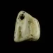 Baltic Amber Medallion pendant with hole