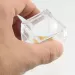 Trapped insect in Baltic amber with magnifying box