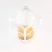 Trapped insect in Baltic amber with magnifying box