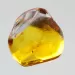 Diptera Insect inclusions in Baltic amber fossil stone