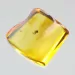 Gnat Insect inclusions in Baltic amber fossil stone