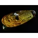 Carved Amulet Baltic amber fossil pendant w insect