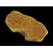 Polished Genuine Baltic amber 17g Stone