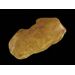 Polished Genuine Baltic amber 17g Stone