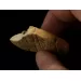 Raw Rough Genuine Baltic amber 10g Stone