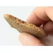 Raw Rough Genuine Baltic amber 11g Stone