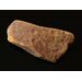 Raw Rough Genuine Baltic amber 13g Stone