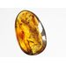 Swarm Insect inclusions in Baltic amber fossil amulet stone