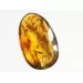 Swarm Insect inclusions in Baltic amber fossil amulet stone