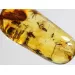 Swarm Insect inclusions in Baltic amber fossil big stone