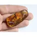Swarm Insect inclusions in Baltic amber fossil big stone