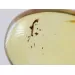 Gnat Insect inclusions in Baltic amber fossil amulet stone