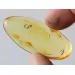 Gnat Insect inclusions in Baltic amber fossil amulet stone