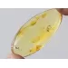 Gnat Insect inclusions in Baltic amber fossil amulet stone