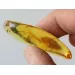 Gnat Insect inclusions in Baltic amber fossil amulet stone