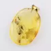 Ant Insect in Carved Amulet Baltic amber fossil pendant