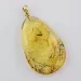 Winged Scale Insect in Carved Amulet Baltic amber fossil pendant