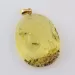 Gnat Insect in Carved Amulet Baltic amber fossil pendant