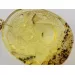 Gnat Insect in Carved Amulet Baltic amber fossil pendant
