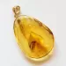Matfly Insect in Carved Amulet Baltic amber fossil pendant