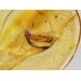Matfly Insect in Carved Amulet Baltic amber fossil pendant