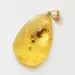 Swarm Insects in Carved Amulet Baltic amber fossil pendant