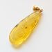 Gnats Insects in Carved Amulet Baltic amber fossil pendant