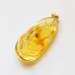Fly Insect in Carved Amulet Baltic amber fossil pendant