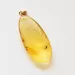Disptera Insect in Carved Amulet Baltic amber fossil pendant