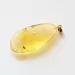 Disptera Insect in Carved Amulet Baltic amber fossil pendant