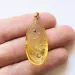 Disptera Insect in Carved Amulet Baltic amber fossil pendant