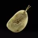Genuine Baltic Amber Gold Plated Amulet Pendant
