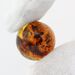 Sphere Round Baltic amber fossil w insect inclusion