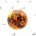 Sphere Round Baltic amber fossil w insect inclusion