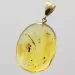 Drop Baltic amber pendulum pendant w insect inclusion