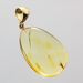 Drop Baltic amber pendulum pendant w insect inclusion