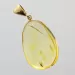 Drop Baltic amber pendulum pendant w insect inclusion