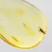 Drop Baltic amber pendulum pendant w insect inclusion