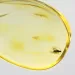 Drop Baltic amber pendulum pendant w insect inclusion