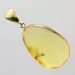 Drop Baltic amber pendulum pendant w insect inclusion