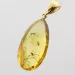 Drop Baltic amber pendulum pendant w insect inclusion